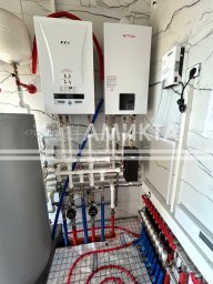 Амикта Амикта